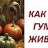 Плодородие на границе живого и мёртвого Важность верхнего слоя почты 587 24