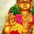 SWAMIYE SARANAM AYYAPPA SABARIMALAI SWAMY DevotionToAyyappa LordAyyappaSongs SabarimalaYatra