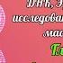 Глава 12 Активация поля ДНК Ченнеллинг Крайона в Боулдере Книга Двенадцать слоев ДНК