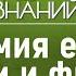 Токсичная зелень и сельдерей убийца польза и вред растений Лекция химика Валентина Новикова