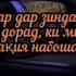 Ҳамеша хомуш будаму ба касе кор нагирифтам вале мисли як хорам донистанд Шахло Сайфуддинова 2022