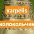 Varpelis колокольчик