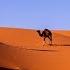 Sahara Sunrise Arabic Oriental Chillout Cafe Lounge Music