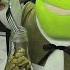 SML Movie Shrek S Hot Cheesecake REUPLOADED