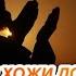 НУРИДДИН ХОЖИ ДОМЛА МУСУЛМОНДАГИ МУСУЛМОННИНГ 6 ХАККИ