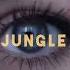 Fred Again Jungle Adriatique Remix Official Visualiser