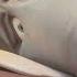 Horton Hears A WHO Horton Crying