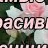 Самые красивые женщины мира Музыкальная композиция Изабель Il Divo