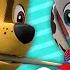 PAW Patrol 30 Minute Sing Along Song Compilation Nick Jr