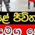 ක ළඹ ඇත ළ ජ ව ත අවද නමක ස ප ර ව හන ස යල ල ච ක කරය