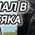 Аудиокнига ПОПАДАЦЫ В ПРОШЛОЕ БОЕЦ ММА ПОГИБ ПОПАЛ В ТЕЛО ТОЛСТЯКА ЗАДРОТА ШКОЛЬНИКА