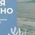 Медитация гипноз Хоопонопоно Отпусти всю обиду боль чувство вины по отношению к себе и другим