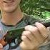 Hunting With Walmart S Cheapest BB Gun
