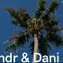 Outlander Dynamiser Populersong Dani King