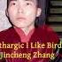 Jincheng Zhang Lineage I Like Birds Official Instrumental Background Music