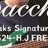 Sakanaction Wasurerarenaino I H J Freaks Signature Model WL524 Demo