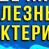 КАК ВЫРАСТИТЬ В КИШЕЧНИКЕ ПОЛЕЗНЫЕ БАКТЕРИИ Семена льна с облепихой и малиной Формула 777а