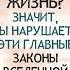 Законы Вселенной Инструкция к счастливой жизни аудиокнига законы шейкин коны эзотерика