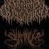 Brains Outward Slaminem Hopeless Visualizer Slamming Brutal Death Metal