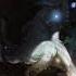 Nightcore Kindred Voices The Lamb And The Wolf