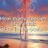 How Many Species Of Animals Glow In The Ocean Discovery Natural Antsdiscovery Ocean Animals