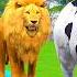 Paint Animals Cow Gorilla Elephant Lion Tiger Dinosaur Fountain Crossing Transformation Cartoon