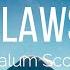 Calum Scott Flaws Lyrics