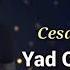 Cesaret Huseynli Yad Olan Qollarda 2021 Official Music