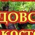 Вычитка от всяких колдовских напастей