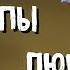 Часть 4 Тернистые тропы любви Христианская повесть