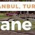 Istanbul 2021 Gülhane Park Cinematic