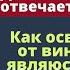 Как освободиться от вины что я не являюсь хорошим родителем Джойс Майер