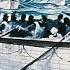 A Night To Remember FULL MOVIE Titanic Historical B W Drama