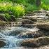 Healing Harmony Music For The Heart Relaxing Music For Stress Relief 4