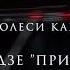 Megi Gogitidze Привет Солнце Документальный фильм Олеси Карпенко Ok Film Studio