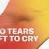 No Tears Left To Cry