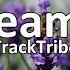 Dream It TrackTribe Copyright FREE MUSIC