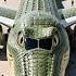 Unique Airplane Crocodile Airplane Automobile Airplane Uniqueairplane Crocodilobombardino