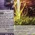 Force Of Will TCG Primer Stealth And Standby Cards