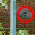 I Found Herobrine In Minecraft