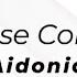 Aidona House Corner Lyrics