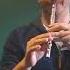 Tin Whistle Eb Clover Flutes David Furman