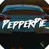 Car Session 1 By PepperPie BASS BOOSTED Car Music Gaullin Sean Paul Camila Cabello LuckyLuke