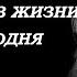 Только Что Узнали 8 Легенд Которые Сегодня Скончались