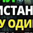 ЕГО В ГОРАХ АФГАНА ЗНАЛИ ВСЕ И УВАЖАЛИ ОН ХОДИЛ В РАЗВЕДКУ ОДИН И БЕЗ ОРУЖИЯ И ДУХИ САМИ СДАВАЛИСЬ