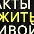 12 суровых истин которые нужно принять чтобы жить счастливой жизнью Стоицизм