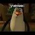 Первый урок химии пингвины Penguinsofmadagascar Shorts Short прикол мем