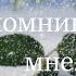 Когда нибудь ты вспомнишь обо мне душевные и красивые стихи о любви