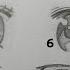 How To Draw ANIME EYES Step By Step Slow Tutorial For Beginners No Time Lapse