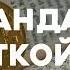 Стандарт биткойна Децентрализованная альтернатива центральным банкам Сайфедин Аммус